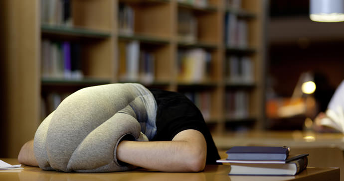 Ostrich Pillow