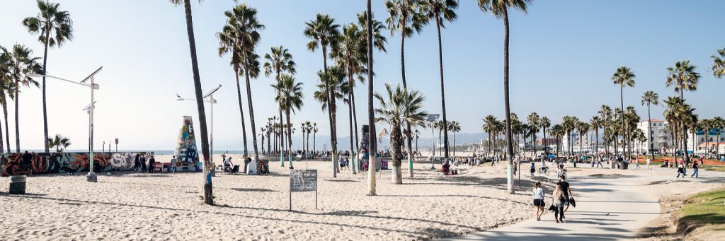 Venice City Beach - Los Angeles
