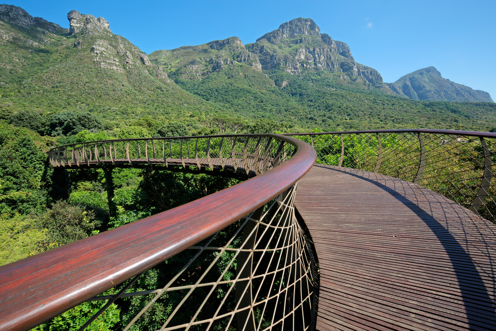 Kirstenbosch National Botanical Garden in Cape Town