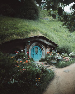 hoto credit, Instagram @nature