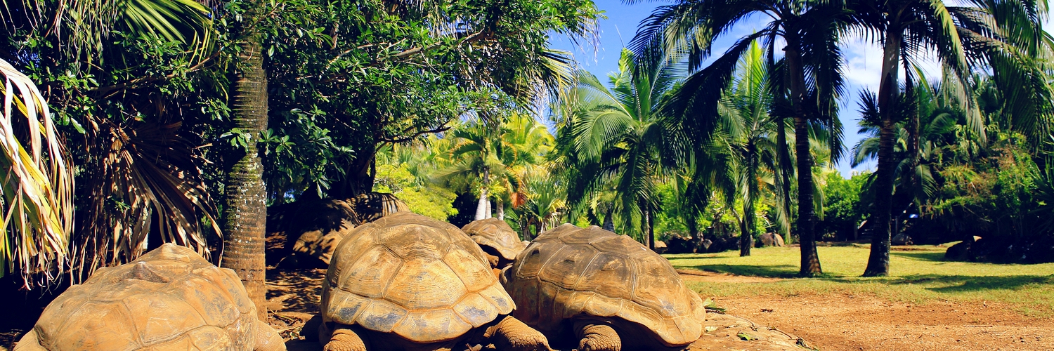 mauritus_animal_experiences