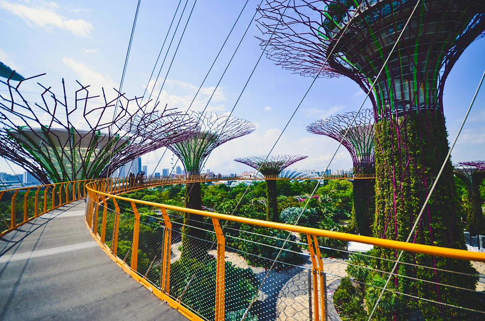 Singapore_Stopover_Holiday_Gardens_by_the_bay